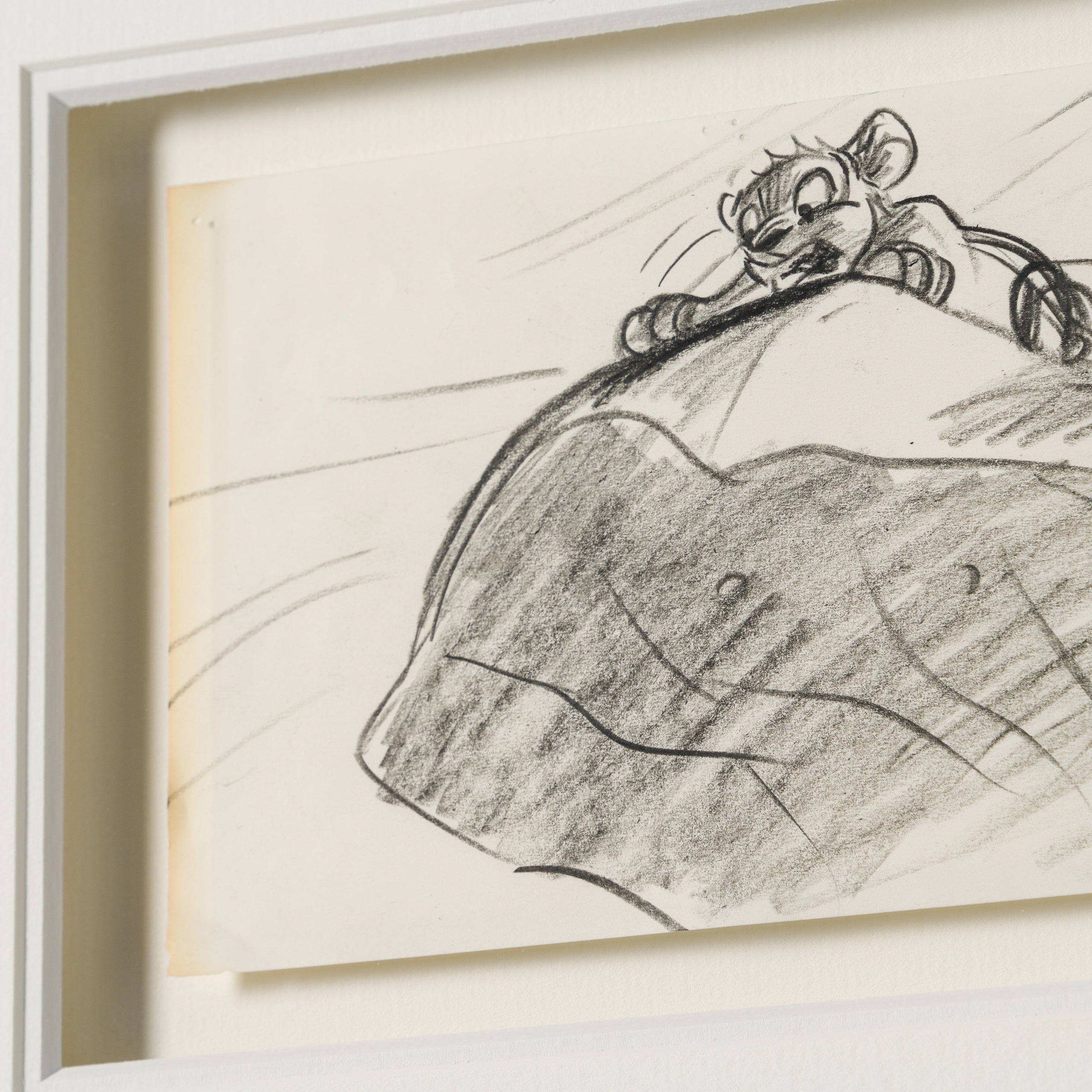 VIN ORI POR 27552 5 Simba and Nala (3) Storyboard