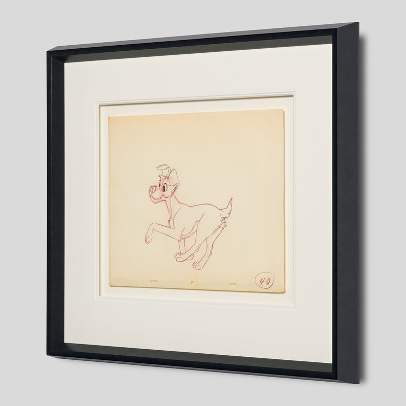 VIN ORI POR 28903 2 Tramp