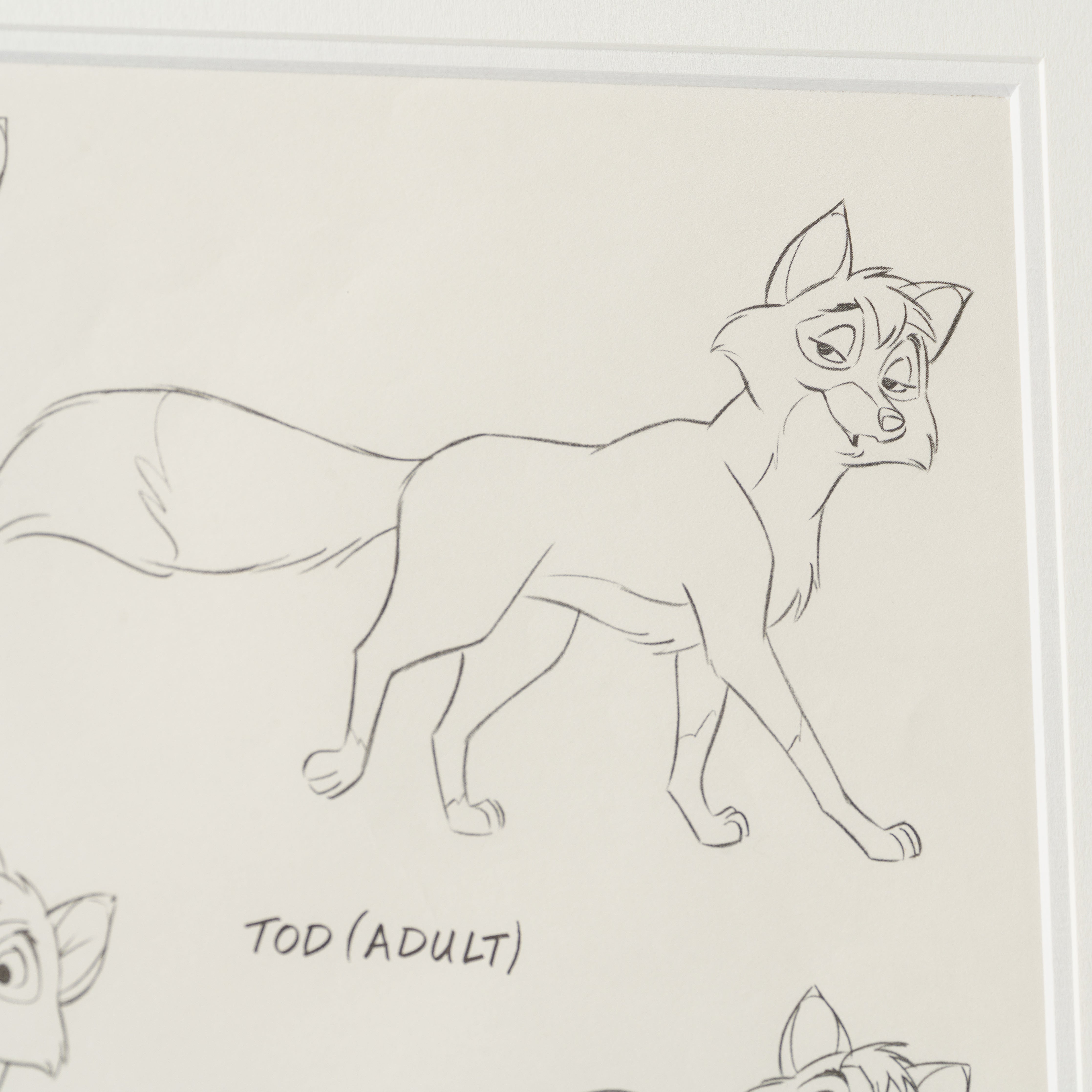 VIN ORI POR 28907 6 Tod, Copper 1