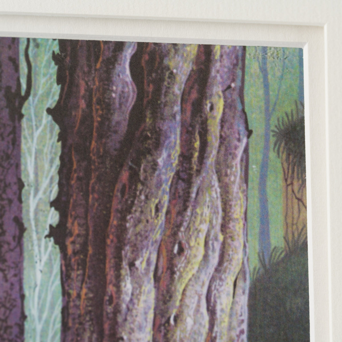 VIN ORI POR 28924 6 Flora, Fauna, Merryweather 1