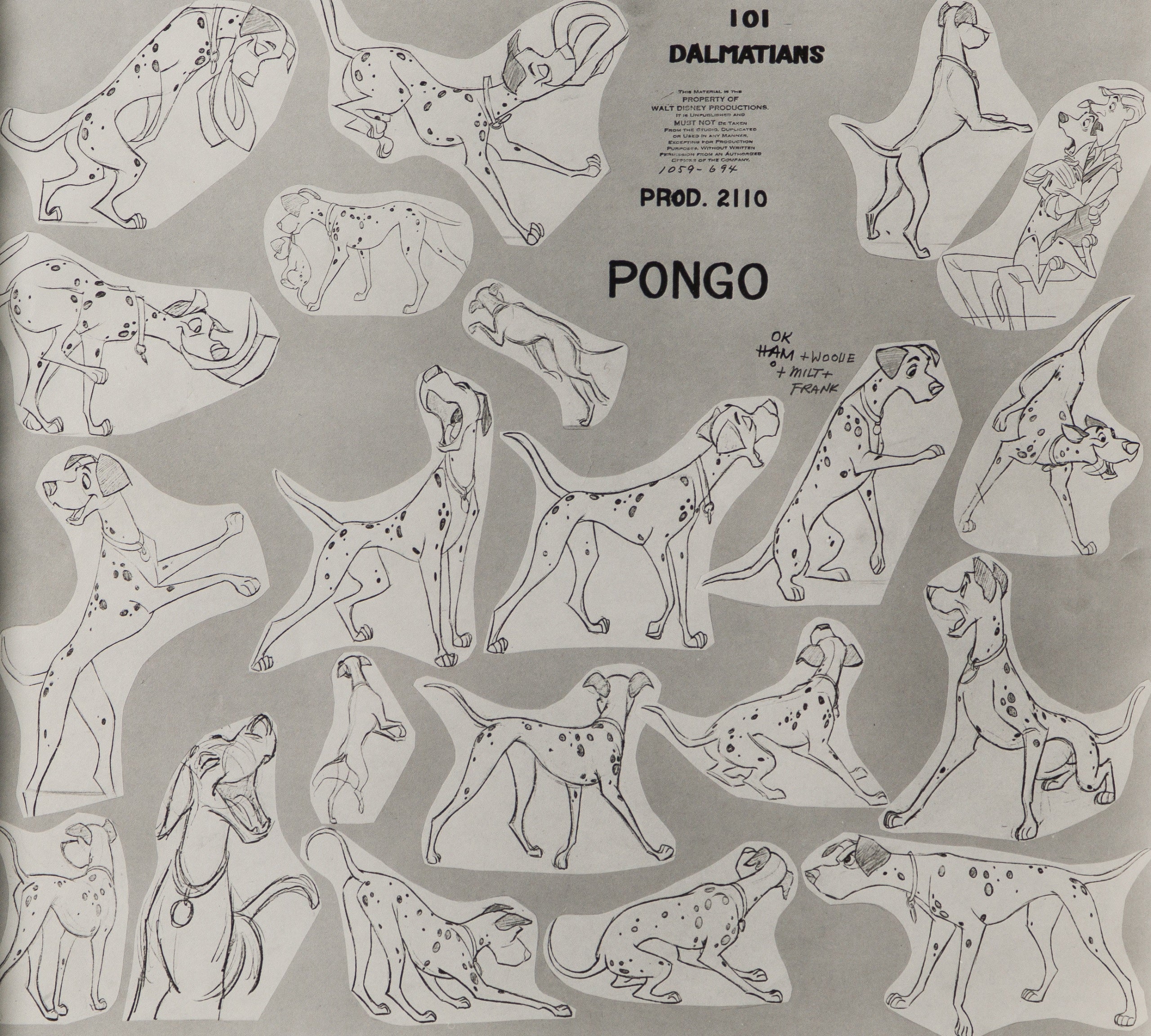 VIN ORI POR 28939 31 Pongo