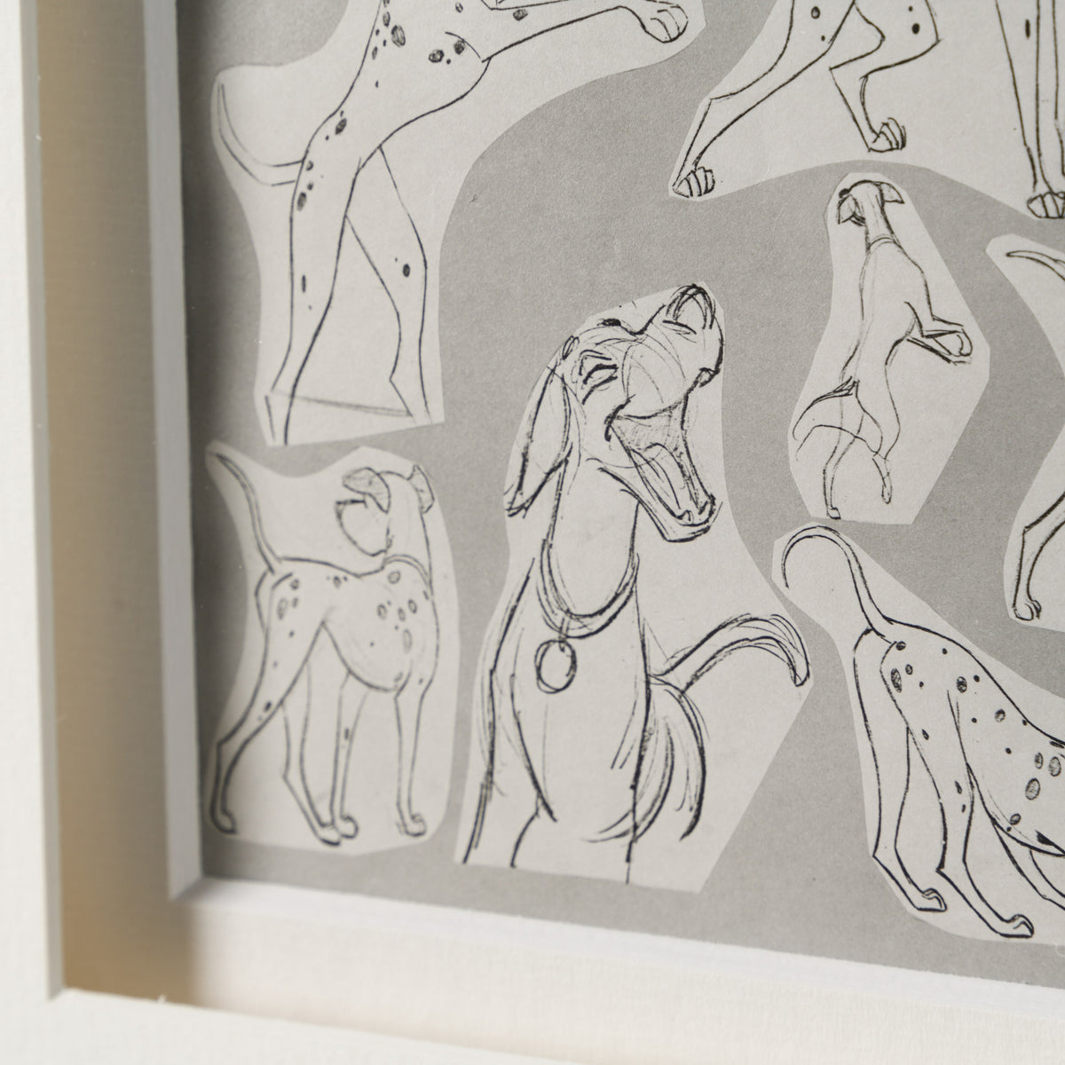 VIN ORI POR 28939 4 Pongo