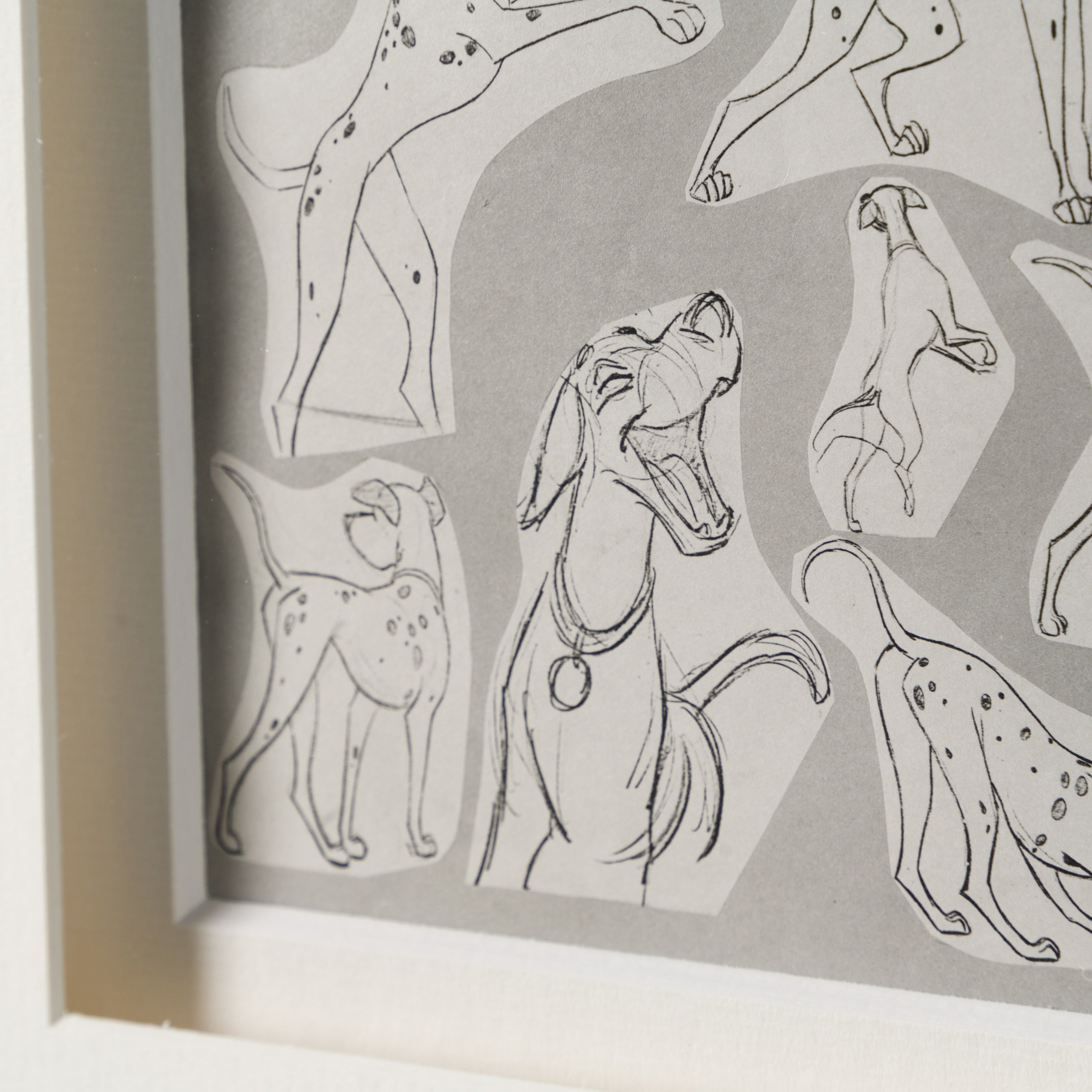 VIN ORI POR 28939 4 Pongo