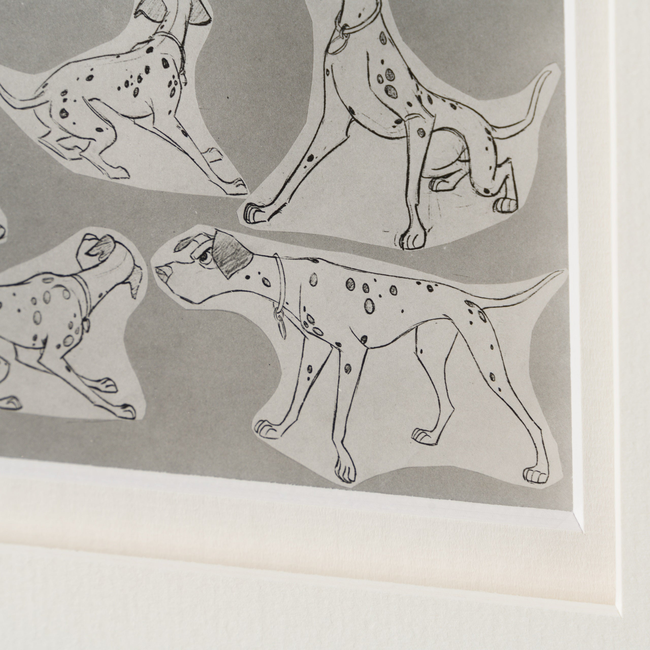 VIN ORI POR 28939 6 Pongo