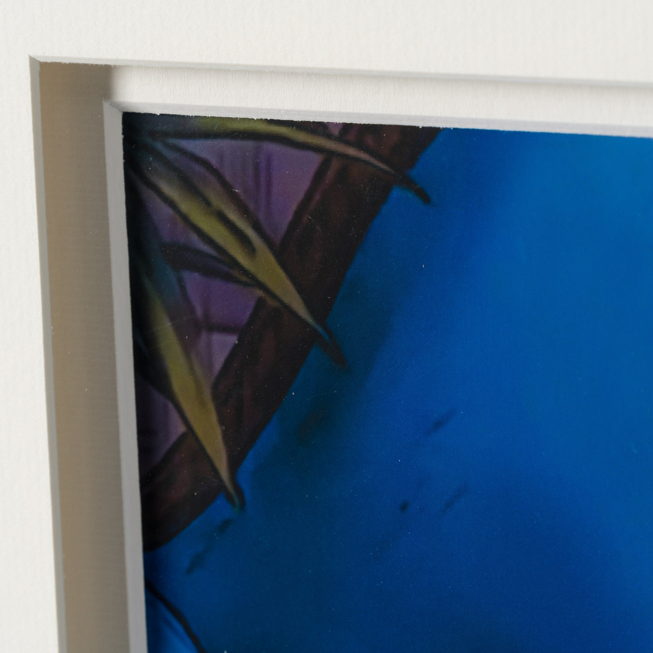 VIN ORI POR 28951 5 Duchess 2