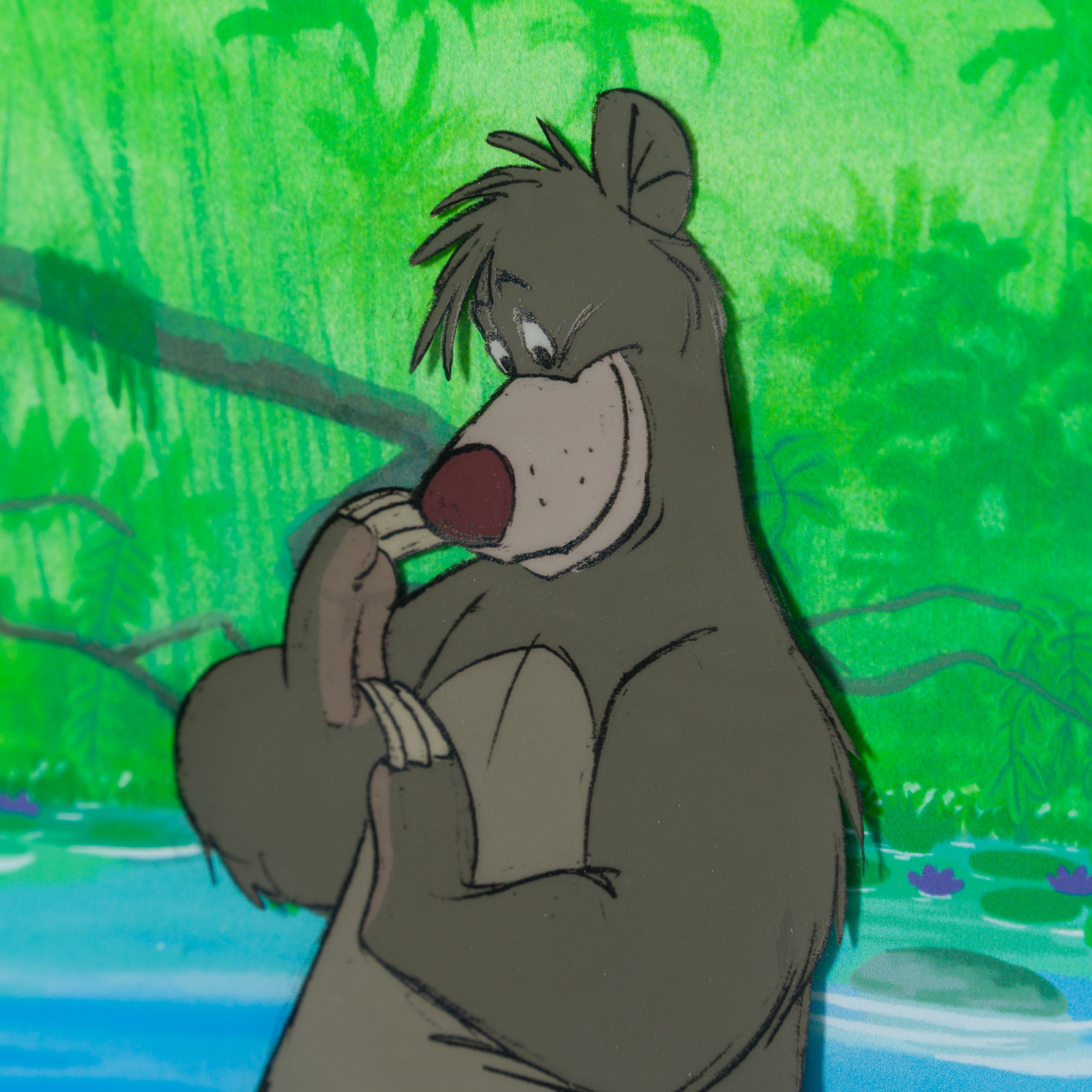 VIN ORI POR 31306 The Jungle Book Baloo Original Production Cel and Model Sheet set (1967) 4