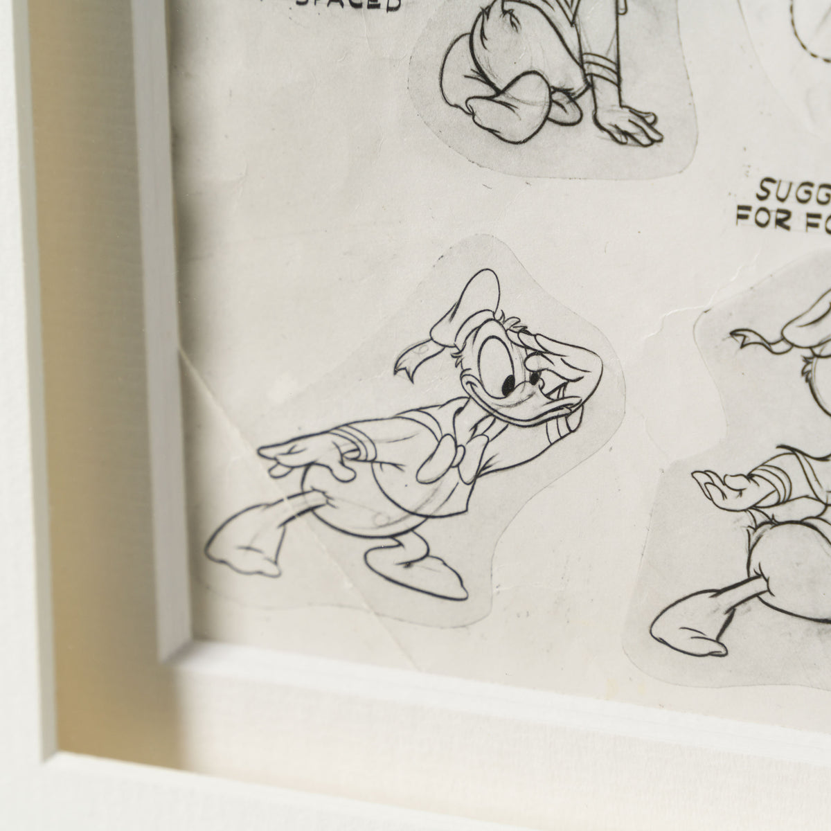 VIN ORI POR 31353 Donald Duck, Standard Duck Models Model Sheet (Circa 1950s) 4