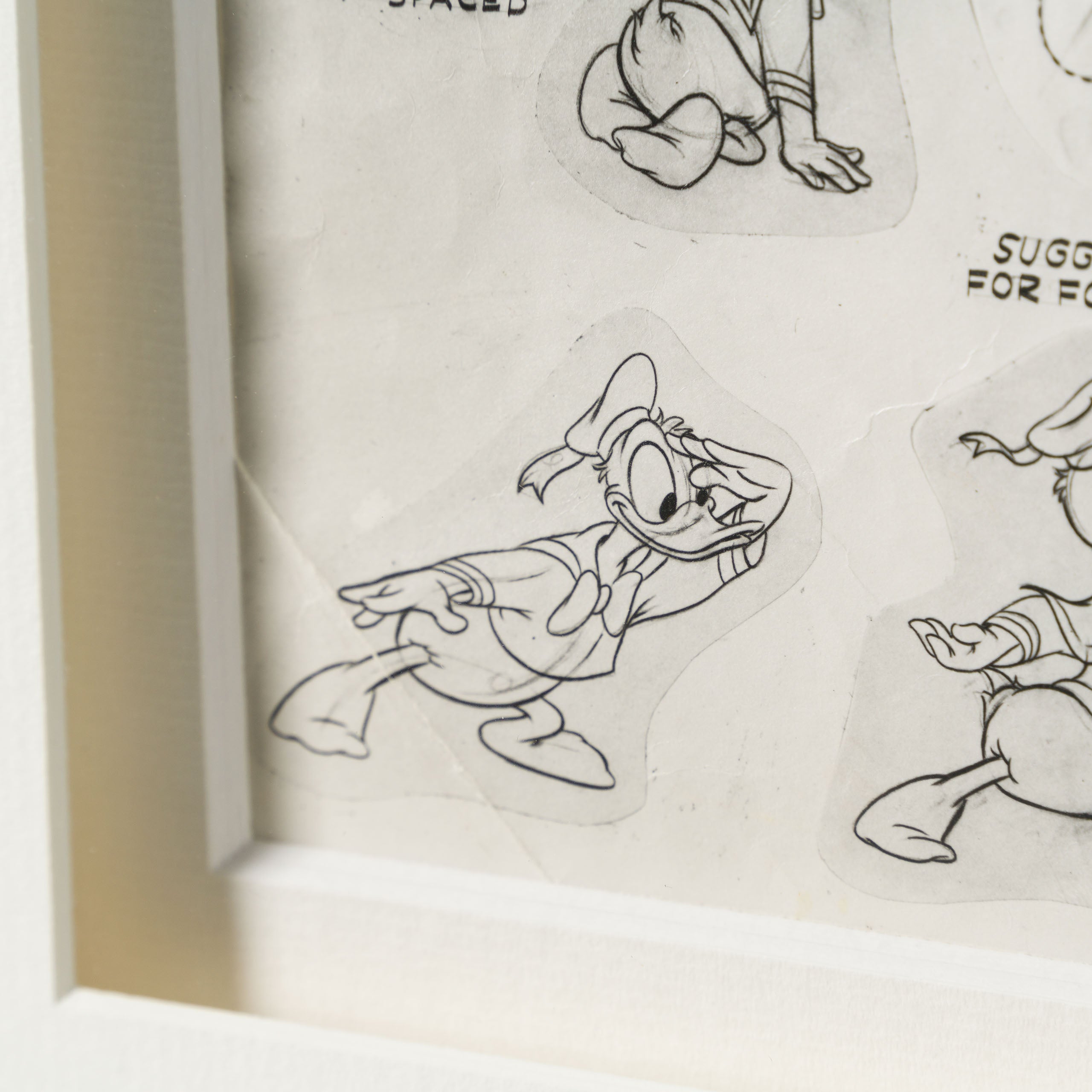 VIN ORI POR 31353 Donald Duck, Standard Duck Models Model Sheet (Circa 1950s) 4