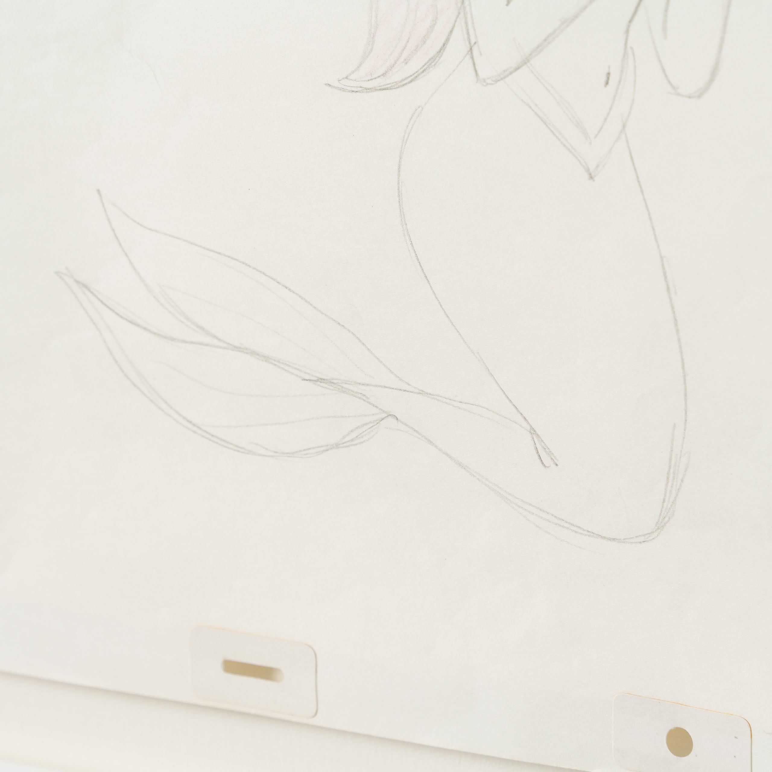 VIN ORI POR 31391 Little Mermaid OPD 153 6