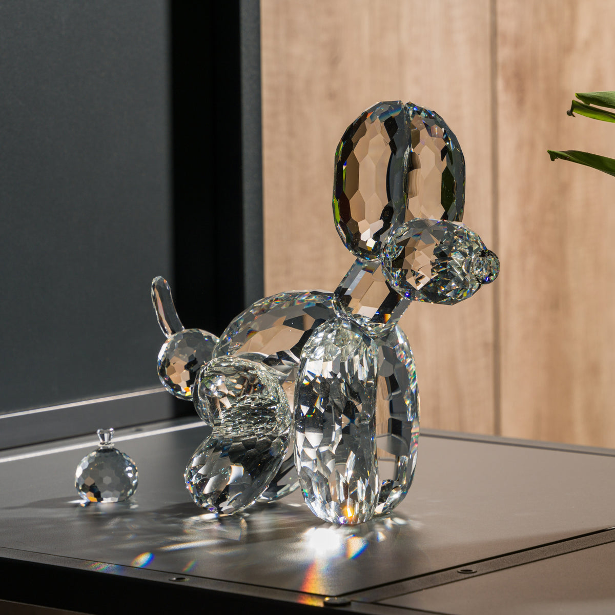 whatshisname crystal dog (3)