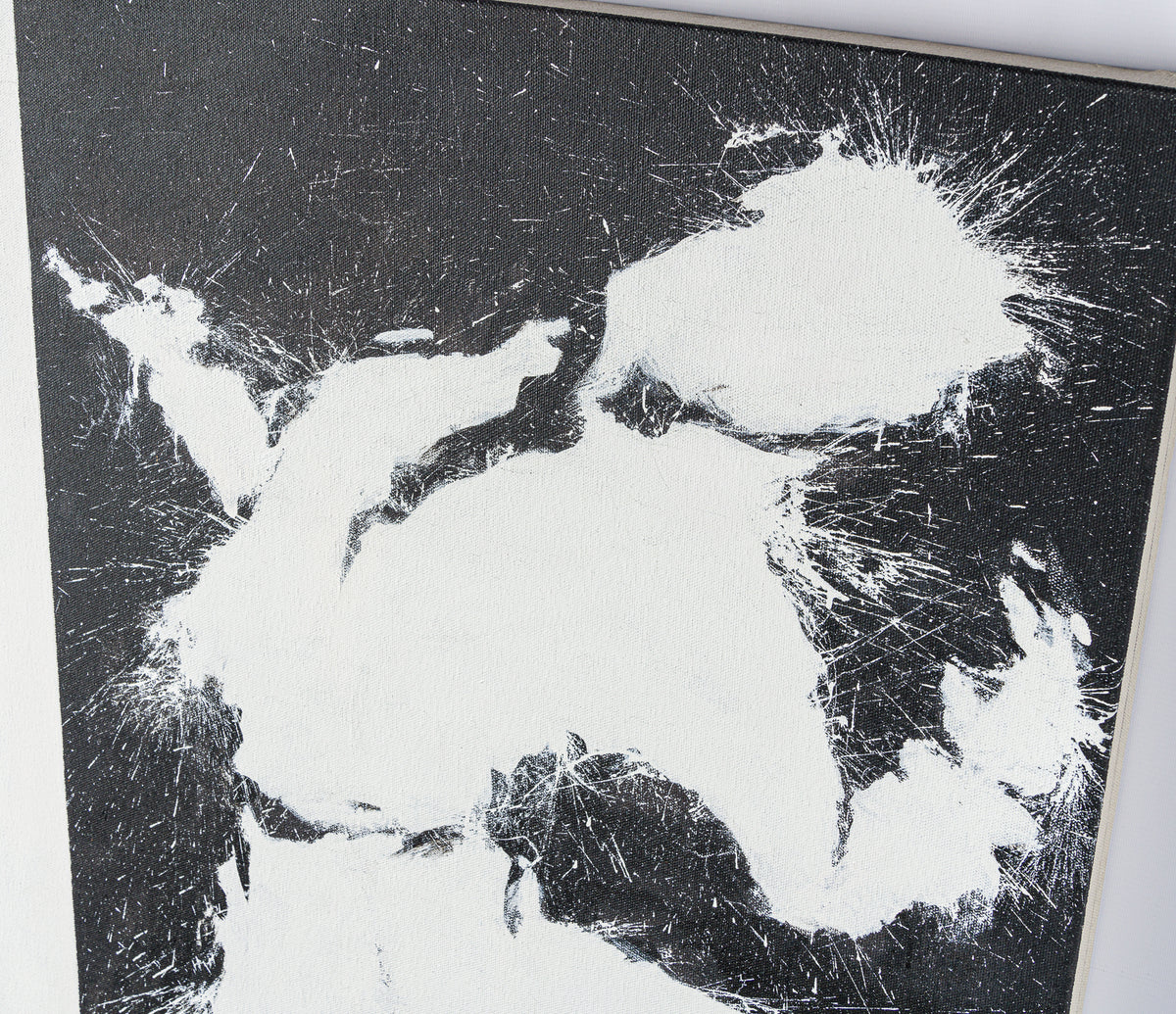 White Jumping Shadowman 5