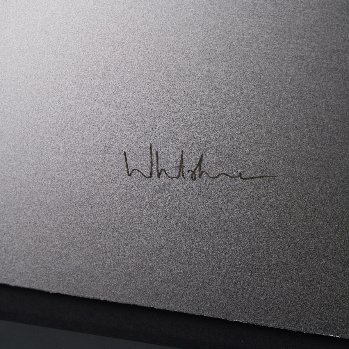 WHN 3 Gone Bare Necesity