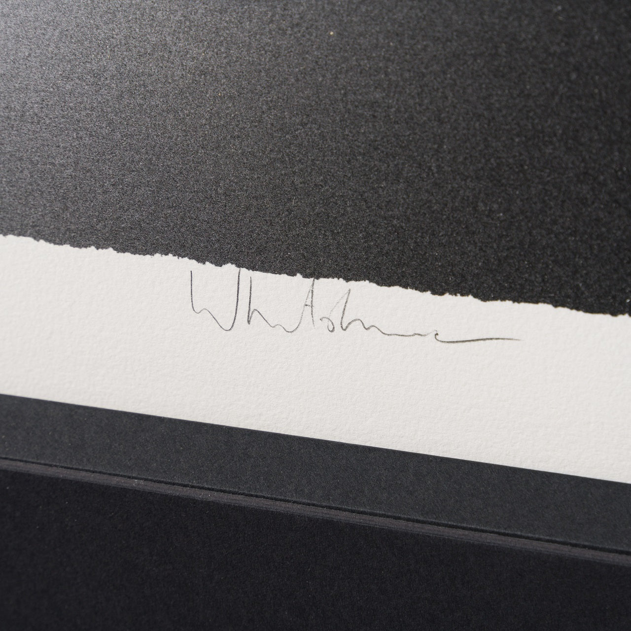 WHN 3 Gone Bare Necessities (Small)