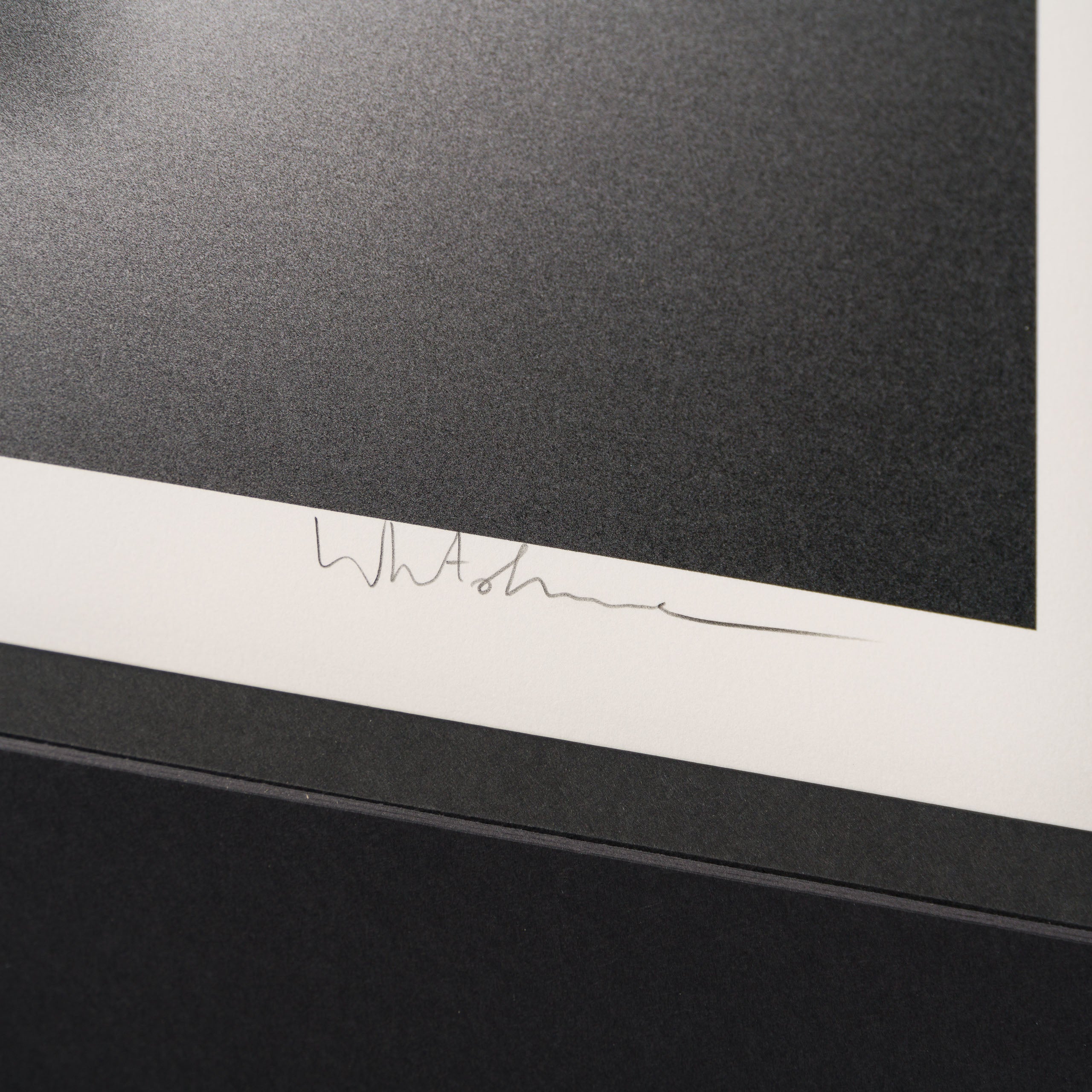 WHN Gone, Bear and Pig 3