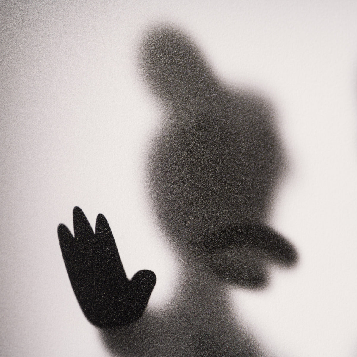 WHN Gone, Mr & Mrs Duck 4