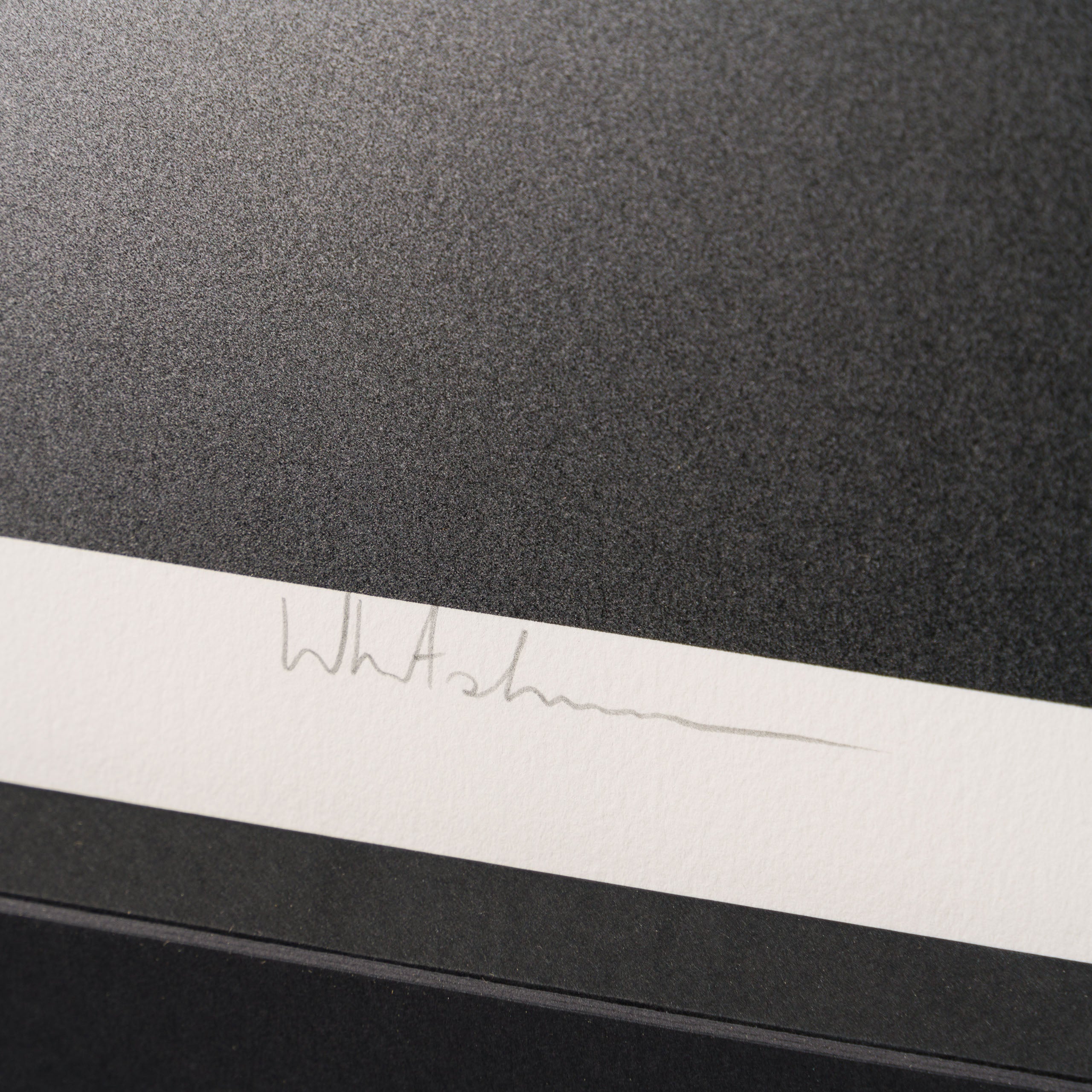 WHN Gone, One Hundred Acre Family 3