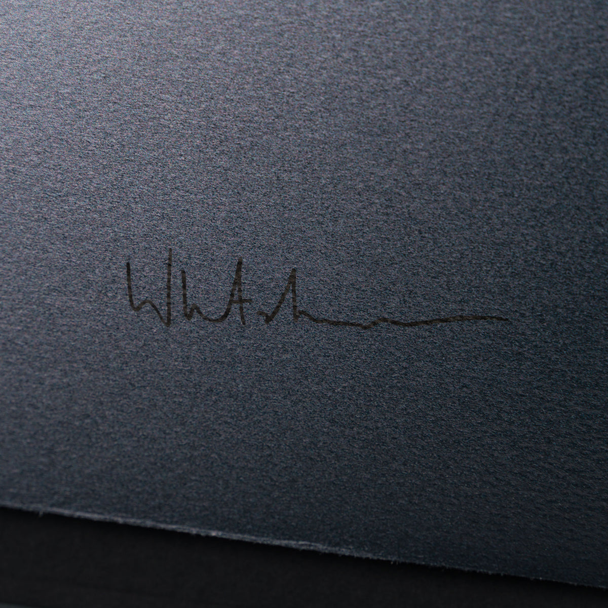 WHN Gone, Peter LARGE 3