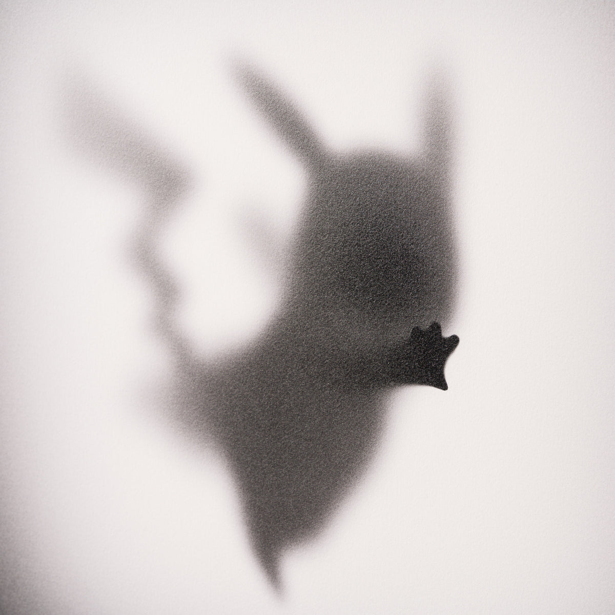 WHN Gone, Pika Pika 4