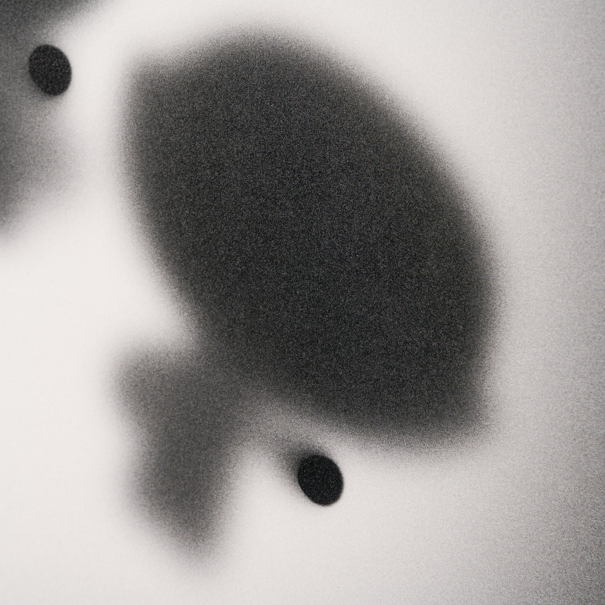 WHN Gone, Sugar, Spice and All Things Nice 4