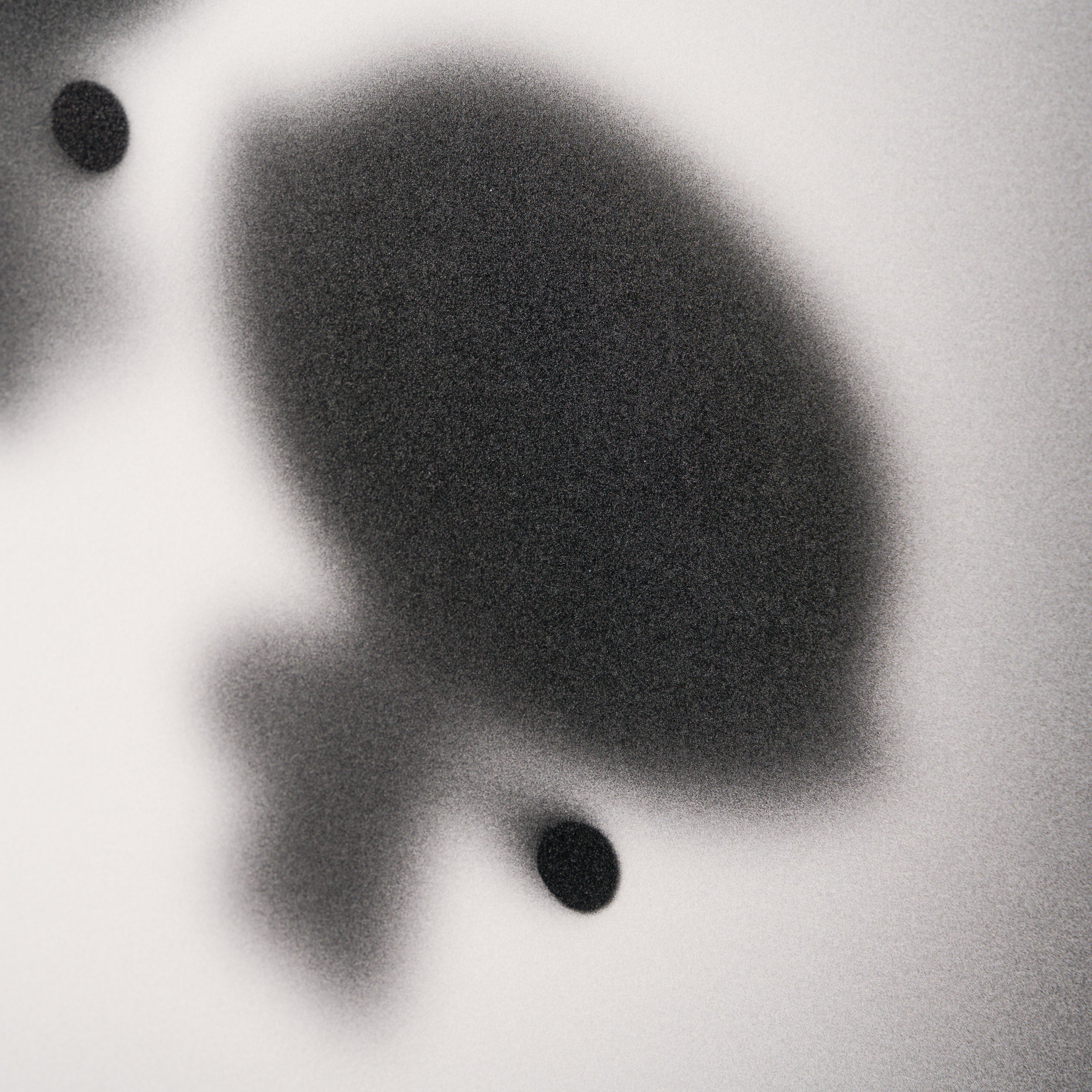 WHN Gone, Sugar, Spice and All Things Nice 4