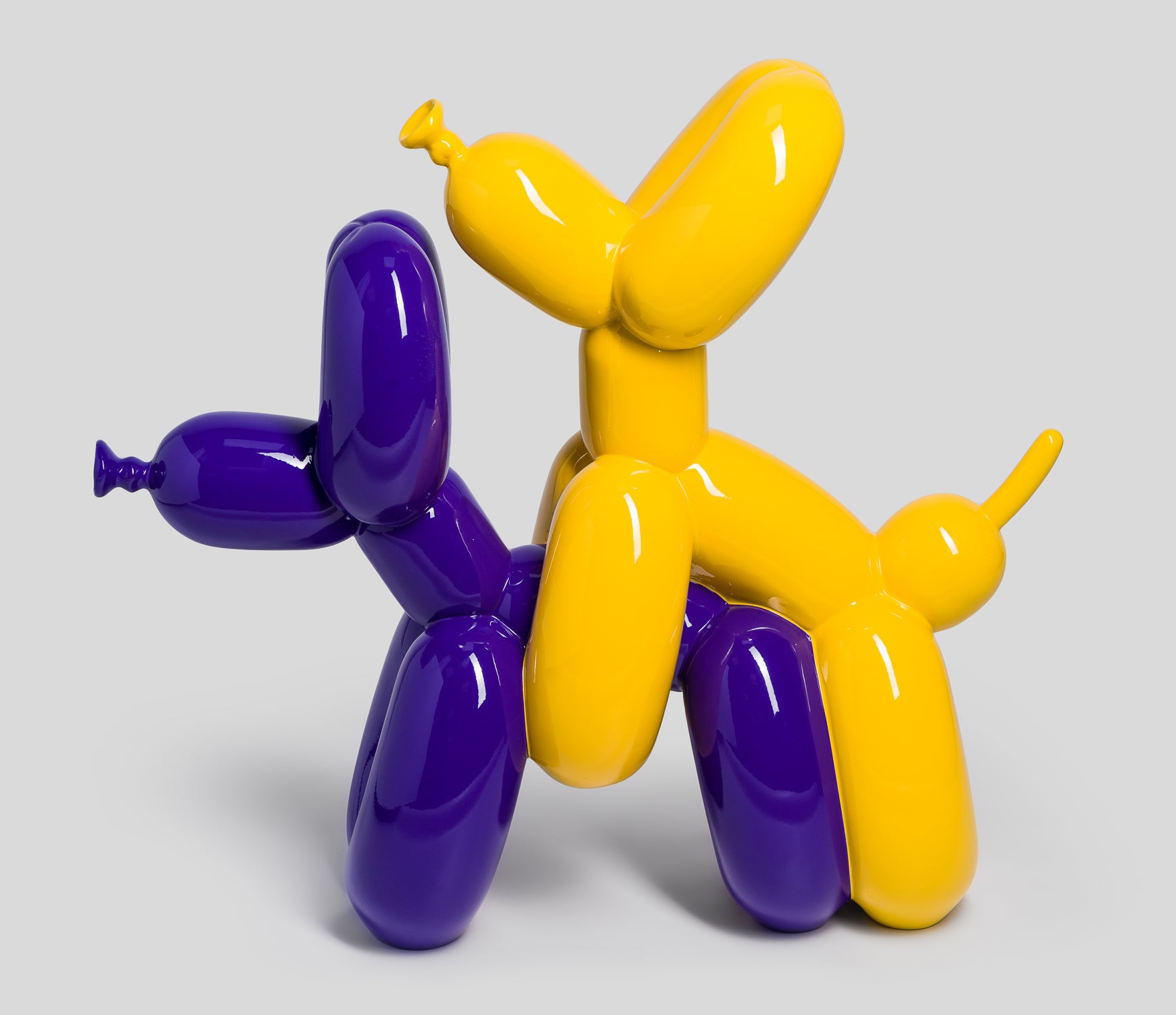 WHN HumpingDogs Yellow Purple 4