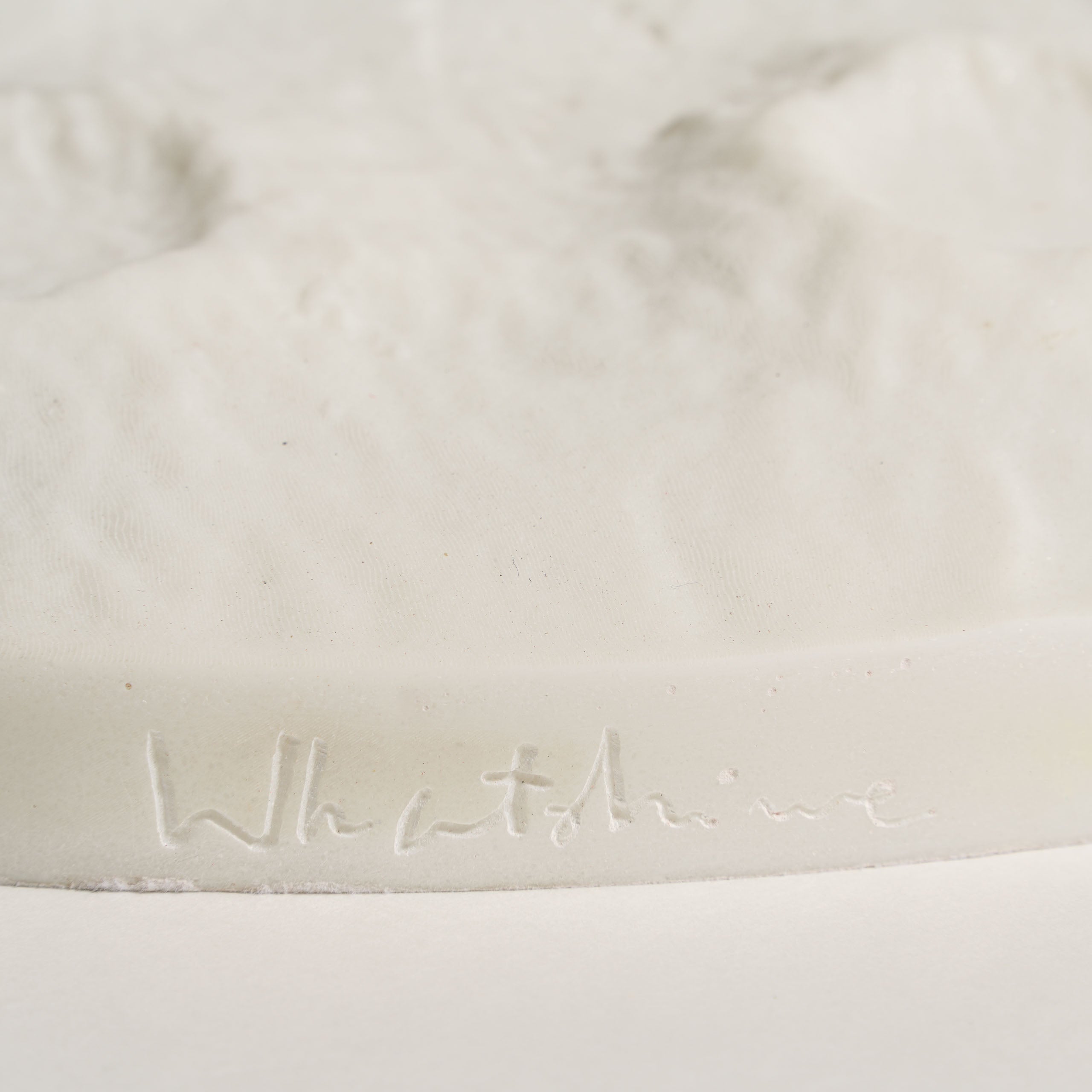 WHN SCU HUM 31626 Astronauts 8