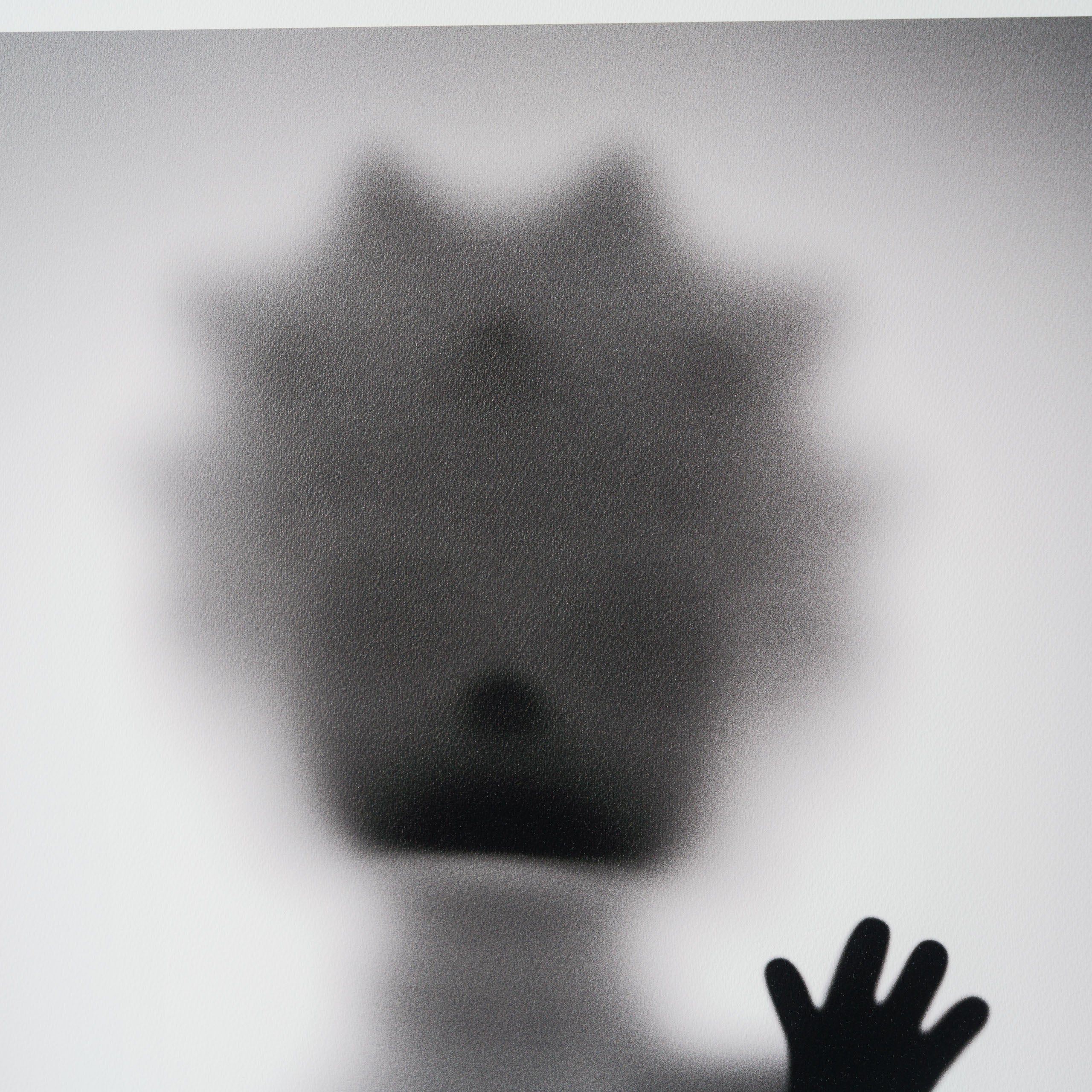 WHN SLE HUM 26630 Lisa 90 x 90 6