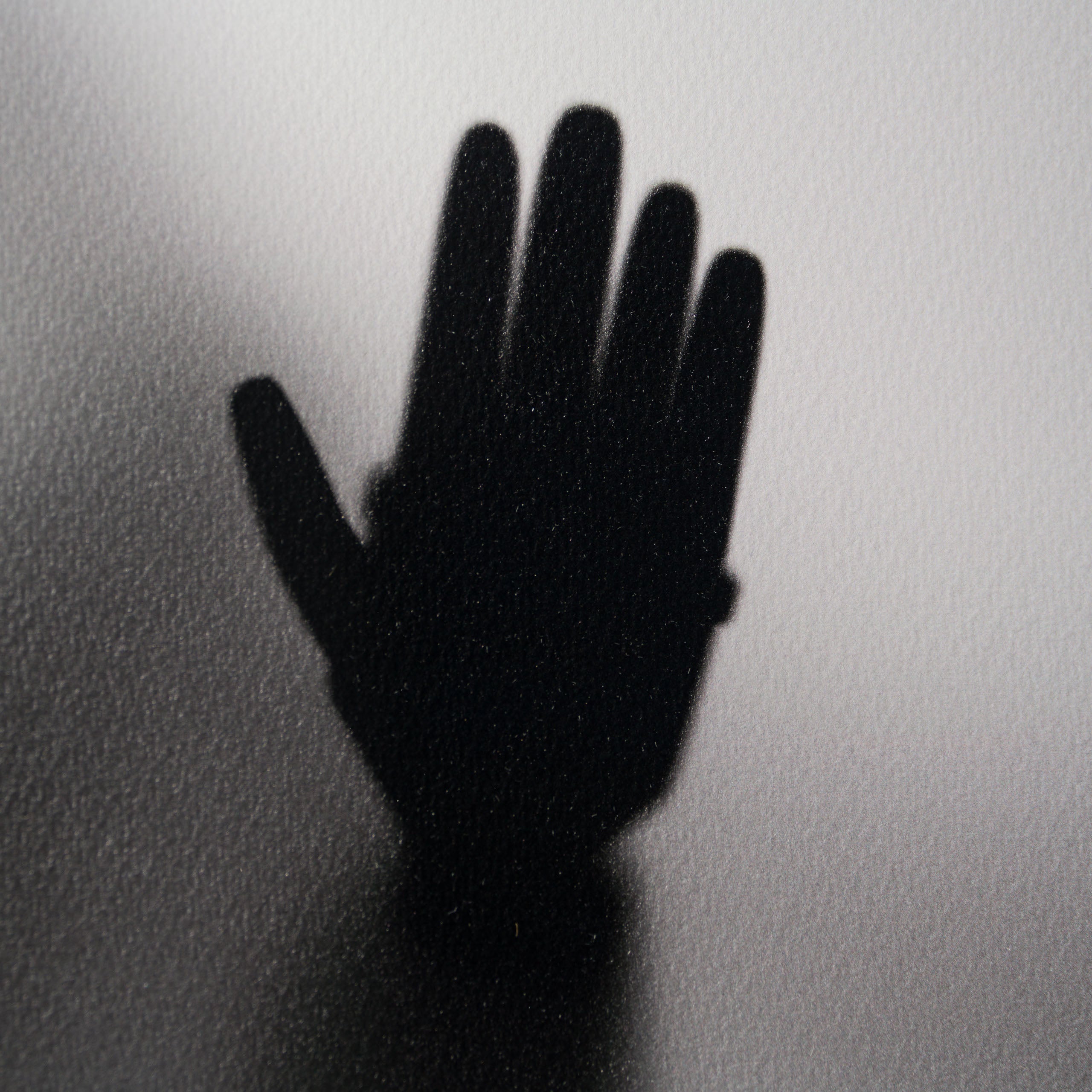 WHN SLE HUM 26631 Buzz Woody 90 x 90 3