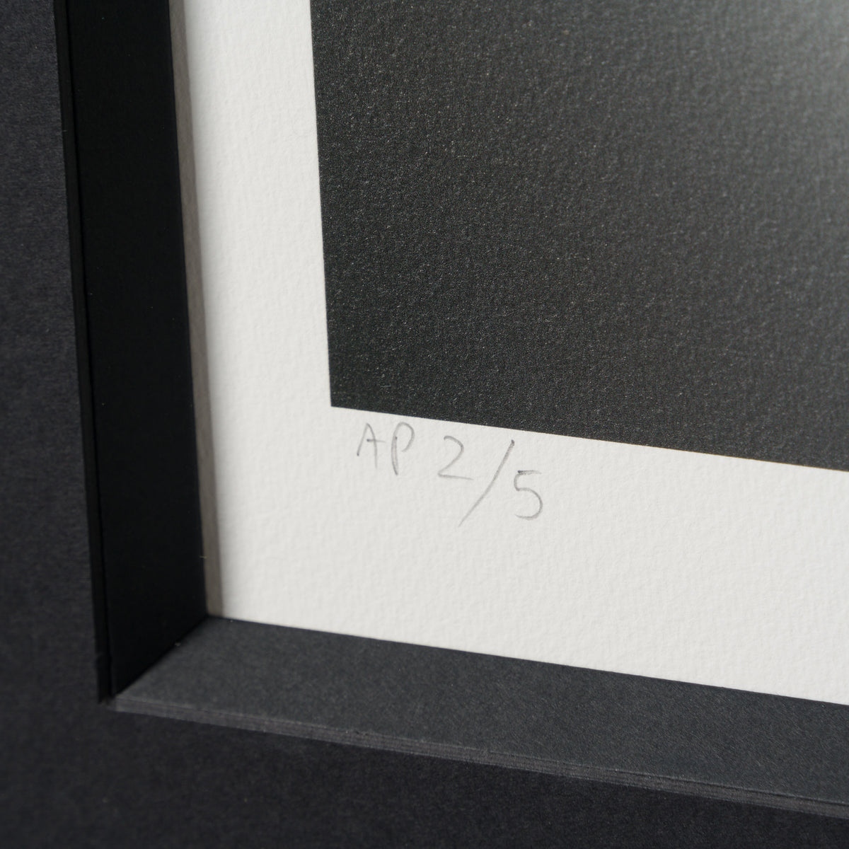 WHN SLE HUM 26635 Charlie Dog 60 x 60 3