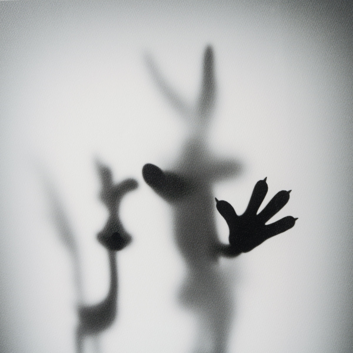 WHN SLE HUM 26638 Coyote Road Runner 6