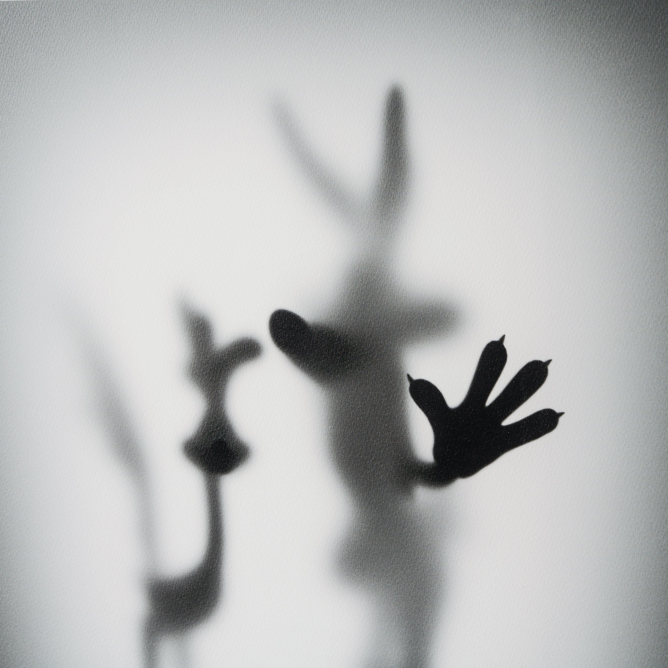 WHN SLE HUM 26638 Coyote Road Runner 6