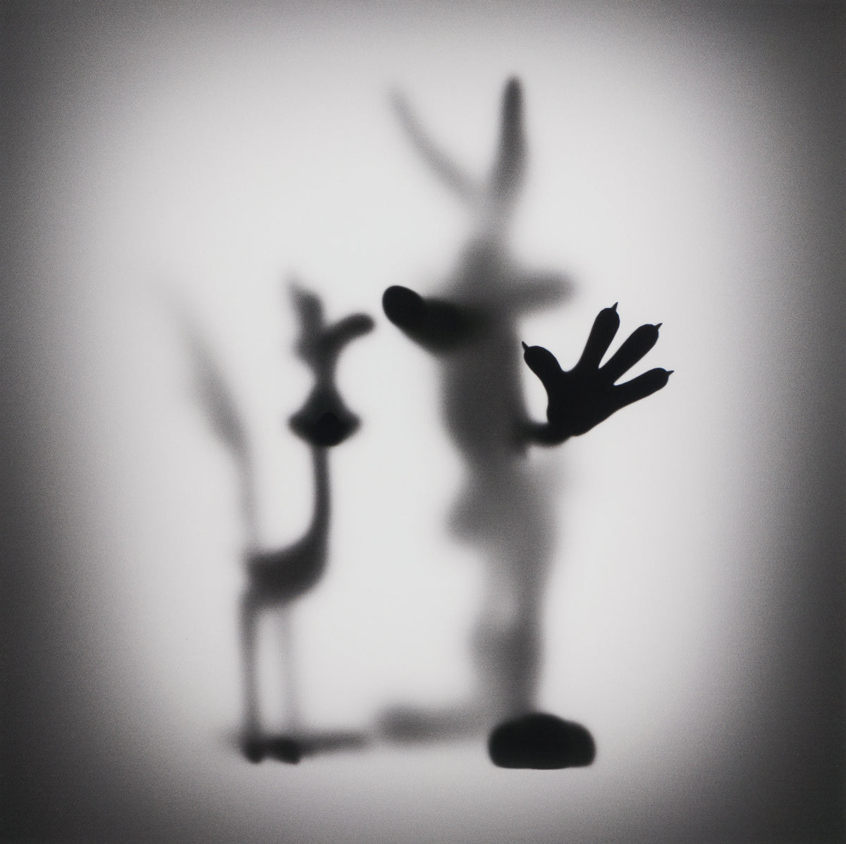 WHN SLE HUM 26639 Coyote Road Runner 90 x 90 31