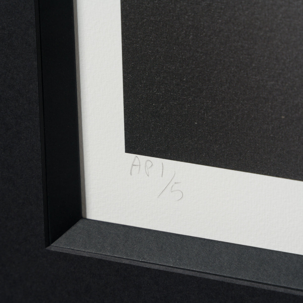 WHN SLE HUM 26639 Coyote Road Runner 90 x 90 3