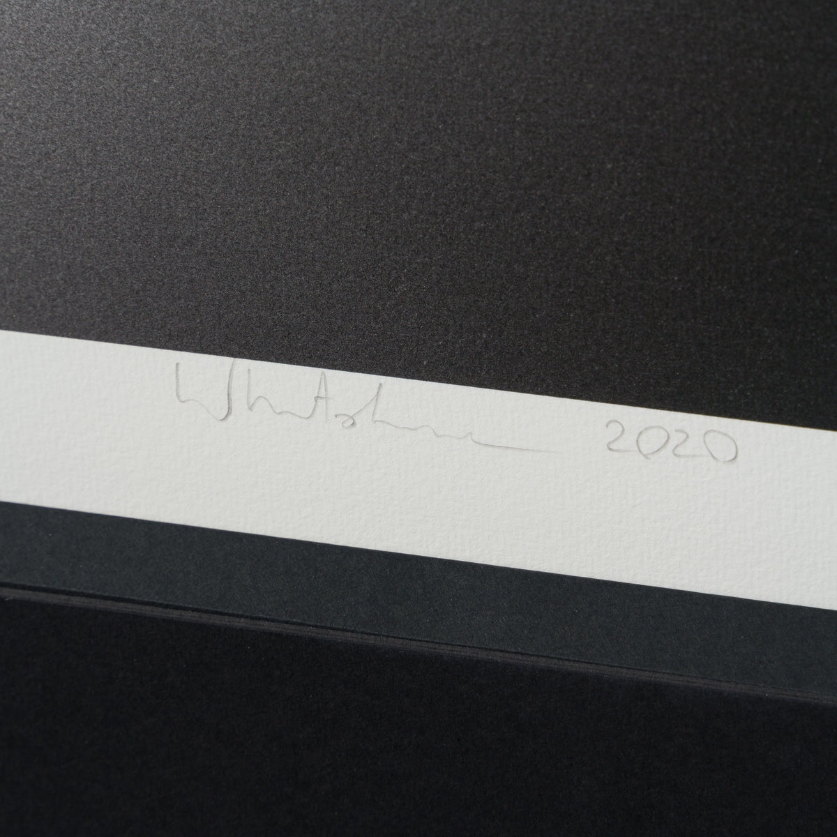 WHN SLE HUM 26639 Coyote Road Runner 90 x 90 4