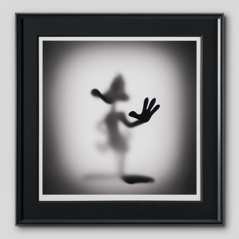 WHN SLE HUM 26643 Daffy 90 x 90 1