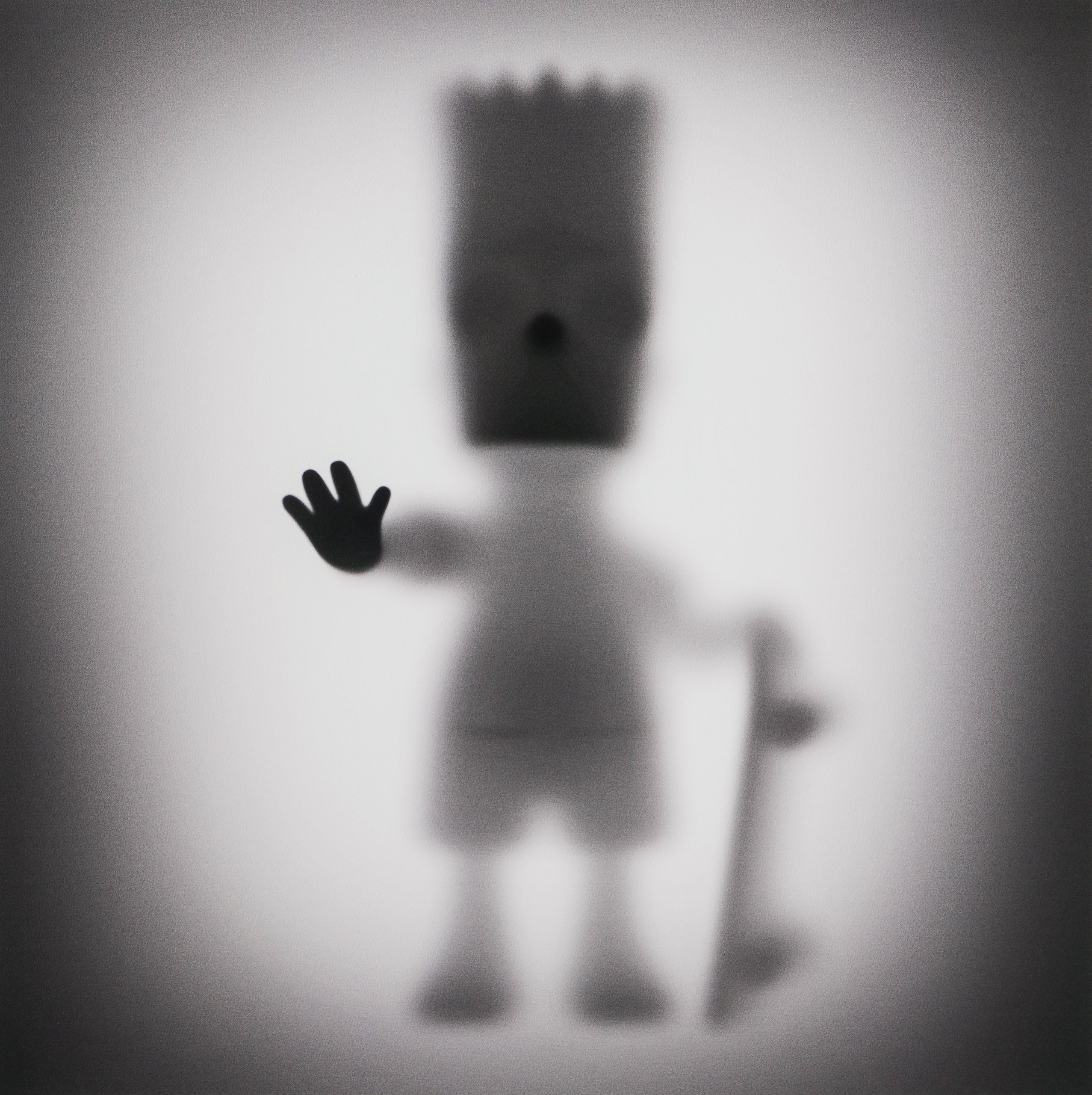 WHN SLE HUM 27501 Bart 90 x 90 31