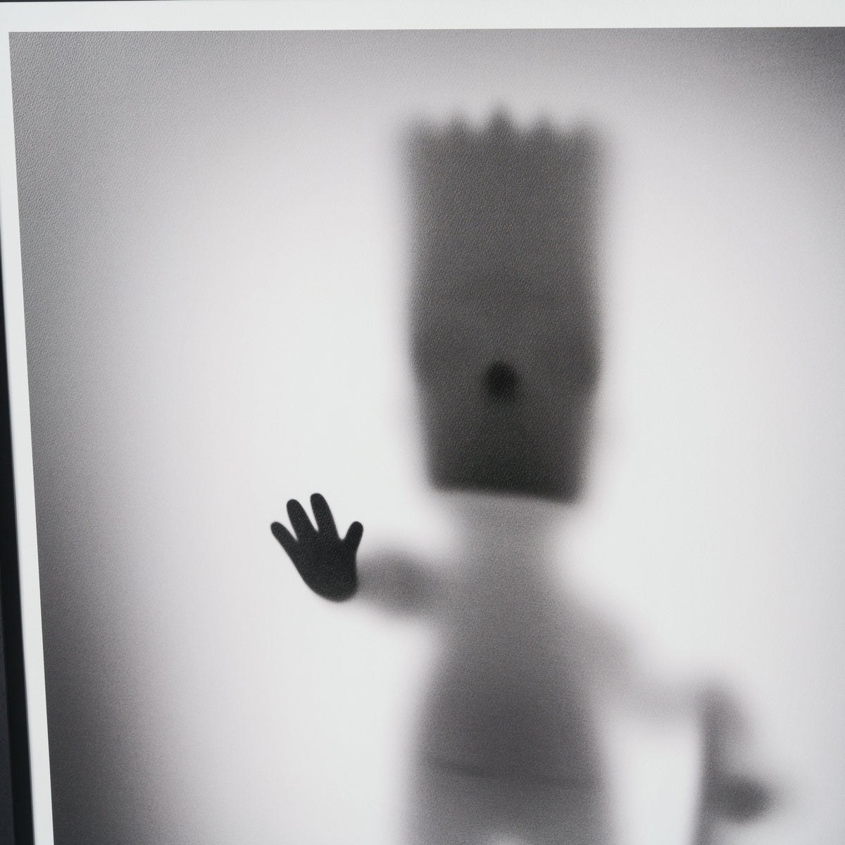 WHN SLE HUM 27501 Bart 90 x 90 6