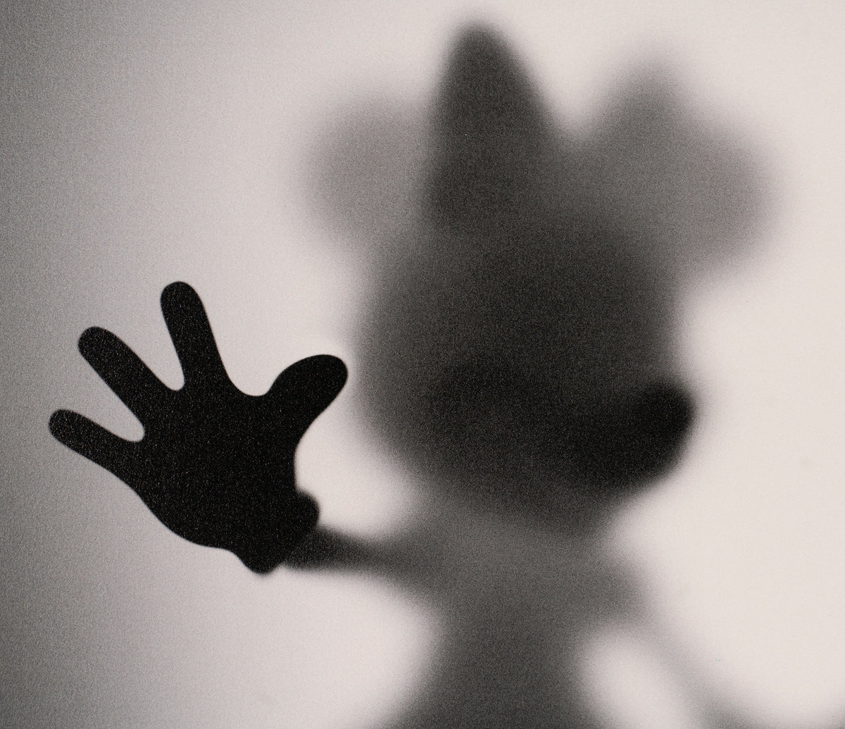 WHN SLE HUM 27859 6 Gone Mrs and Mrs