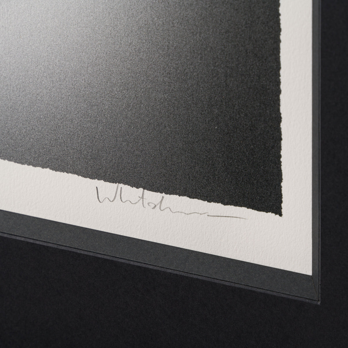 WHN SLE HUM 31721 Gone Bustin 60 x 60 4