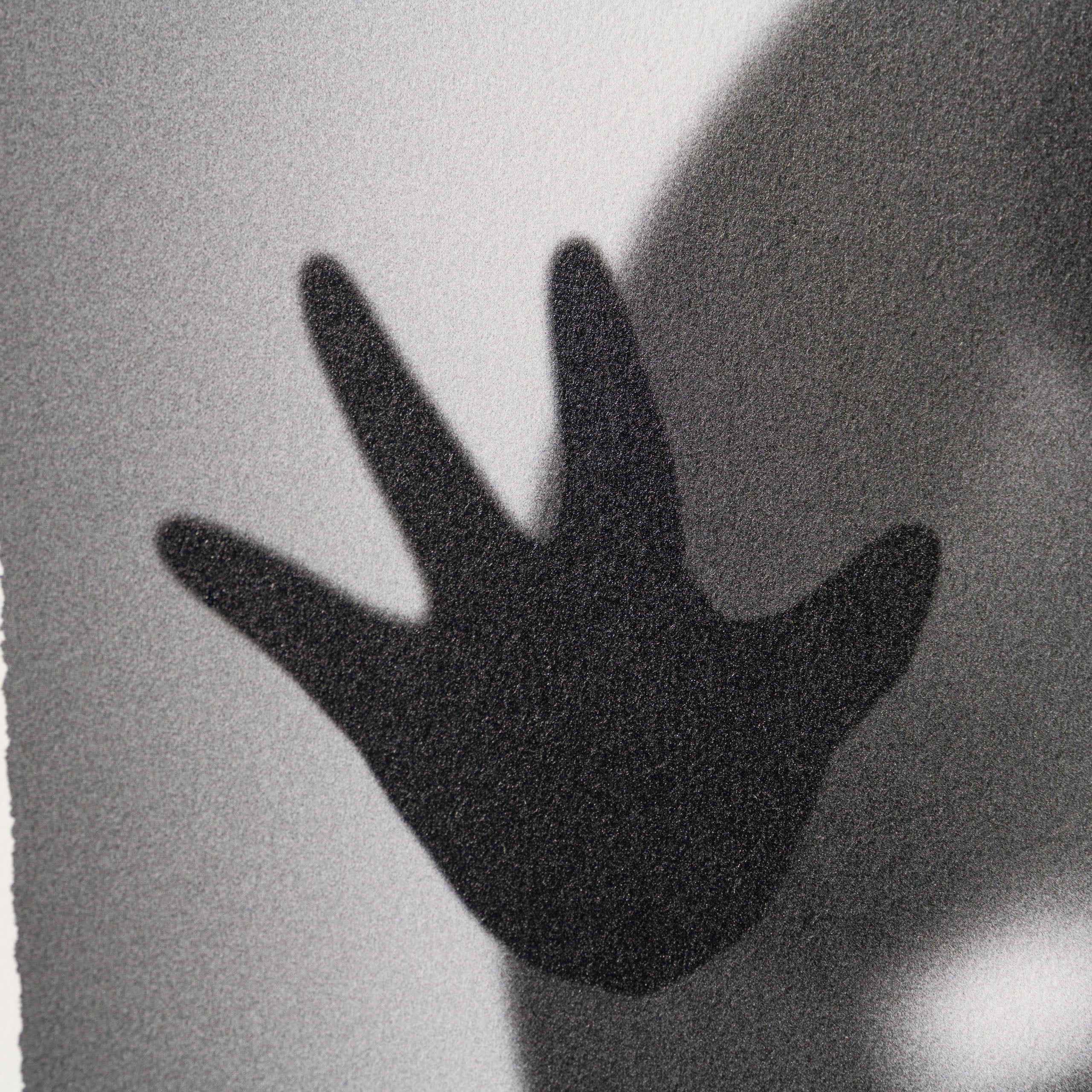 WHN SLE HUM 31721 Gone Bustin 60 x 60 5