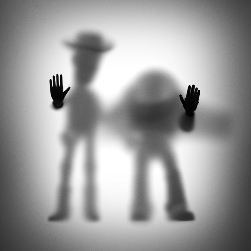 woody and buzz 30 x 30 cm copy