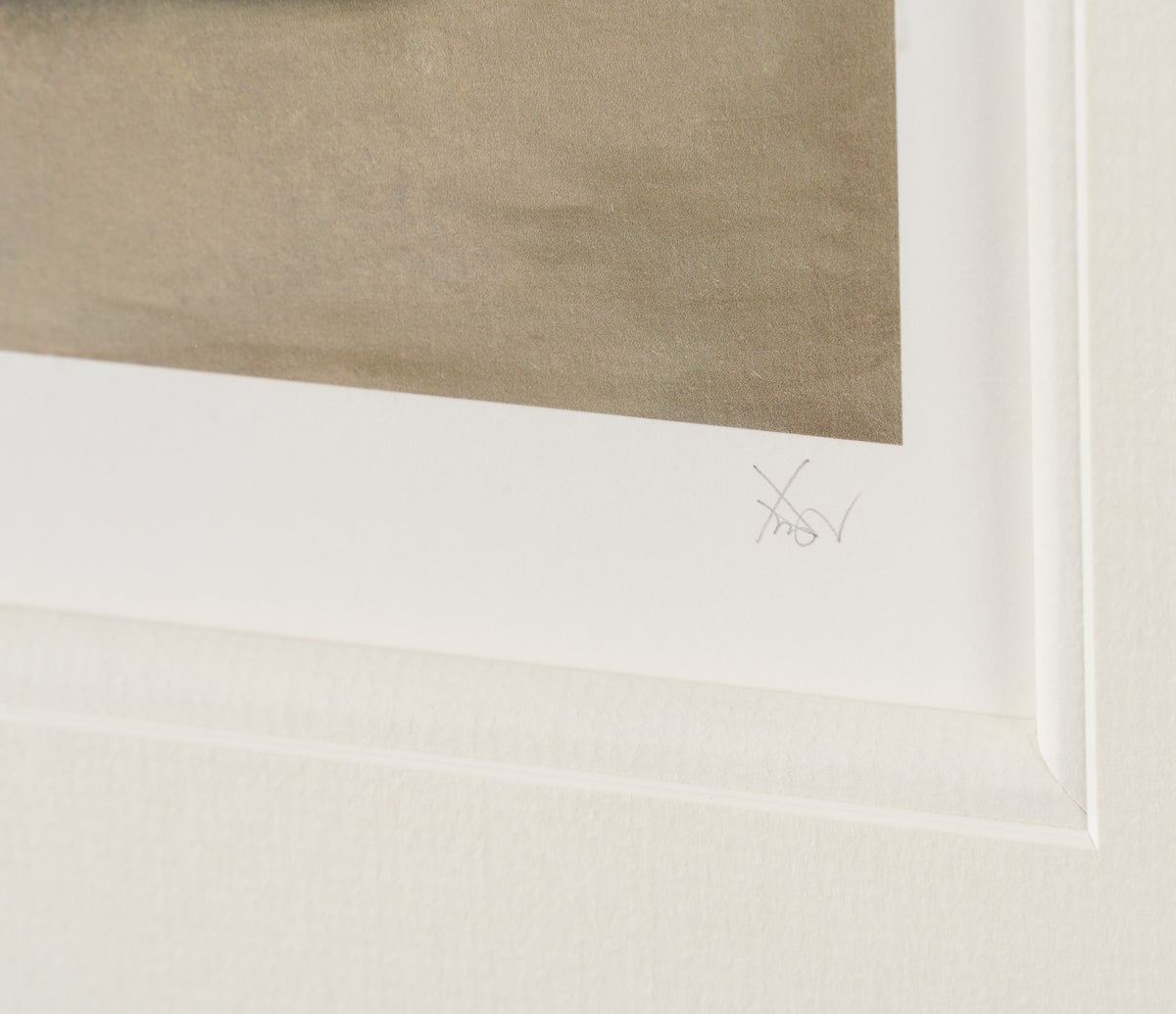 XWA SLE POR 01057 5 Stretch Fido