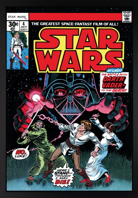 Star Wars #4 - In Battle With Darth Vader | Marvel | Castle Fine Art