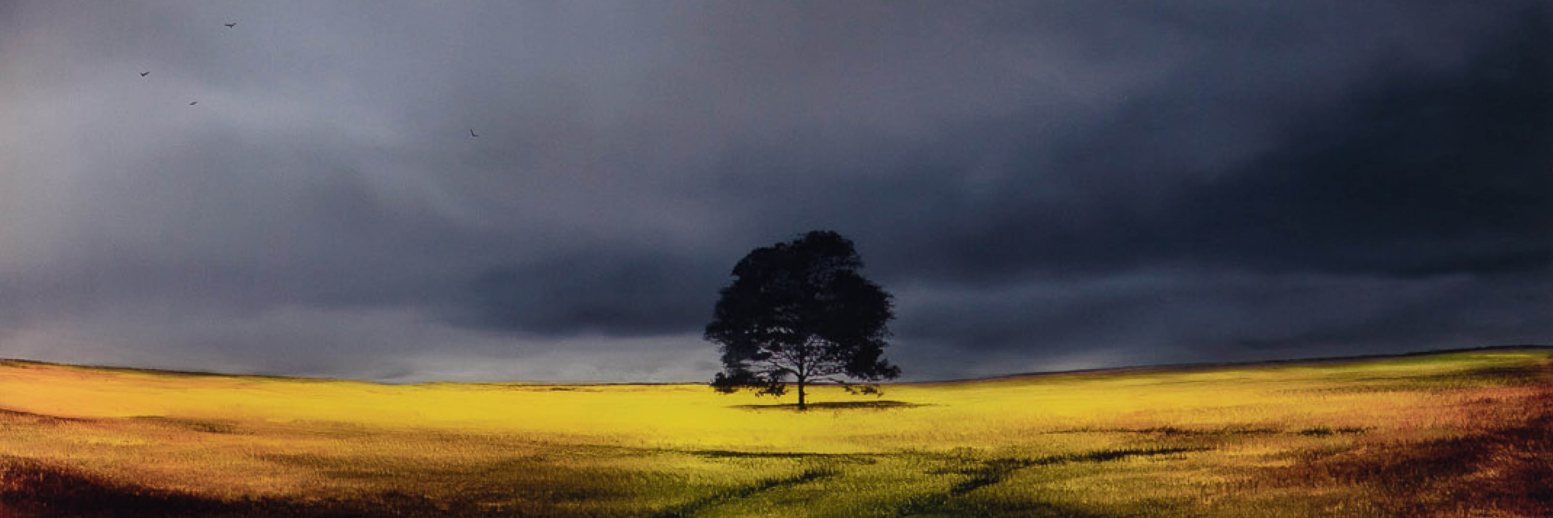 banner useofdifferentmaterials