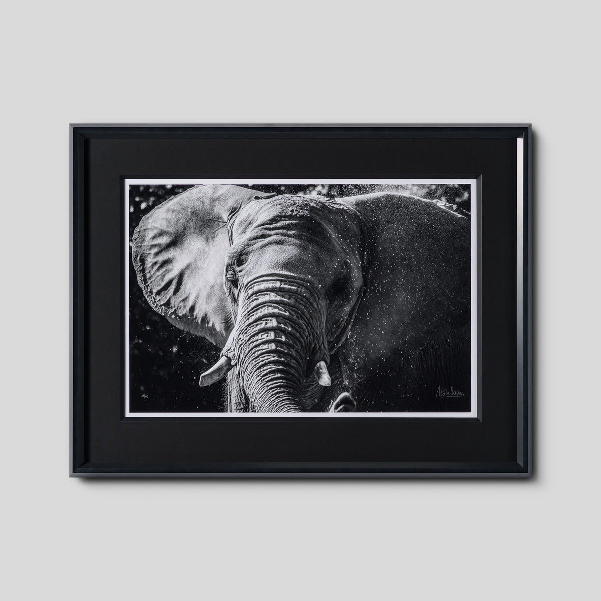 Tusker