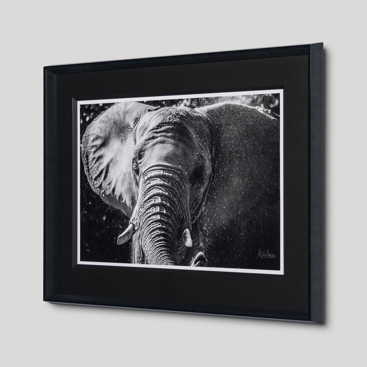 Tusker