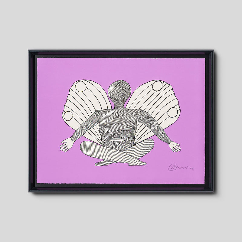 Hang Glider