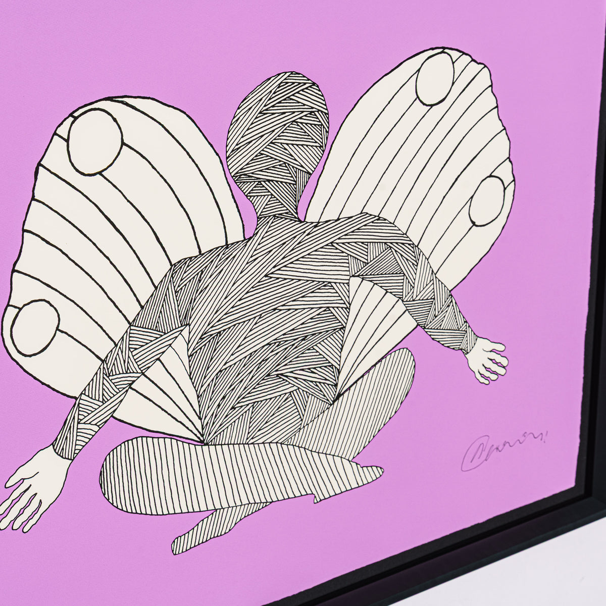 Hang Glider