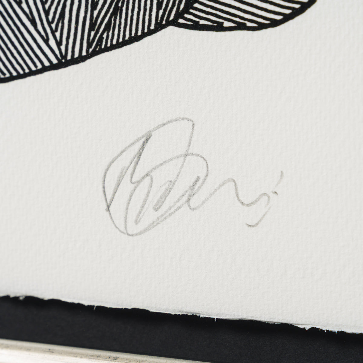 Born on a Rainy Day | The Collector Series 2026 | Framed Set of Six