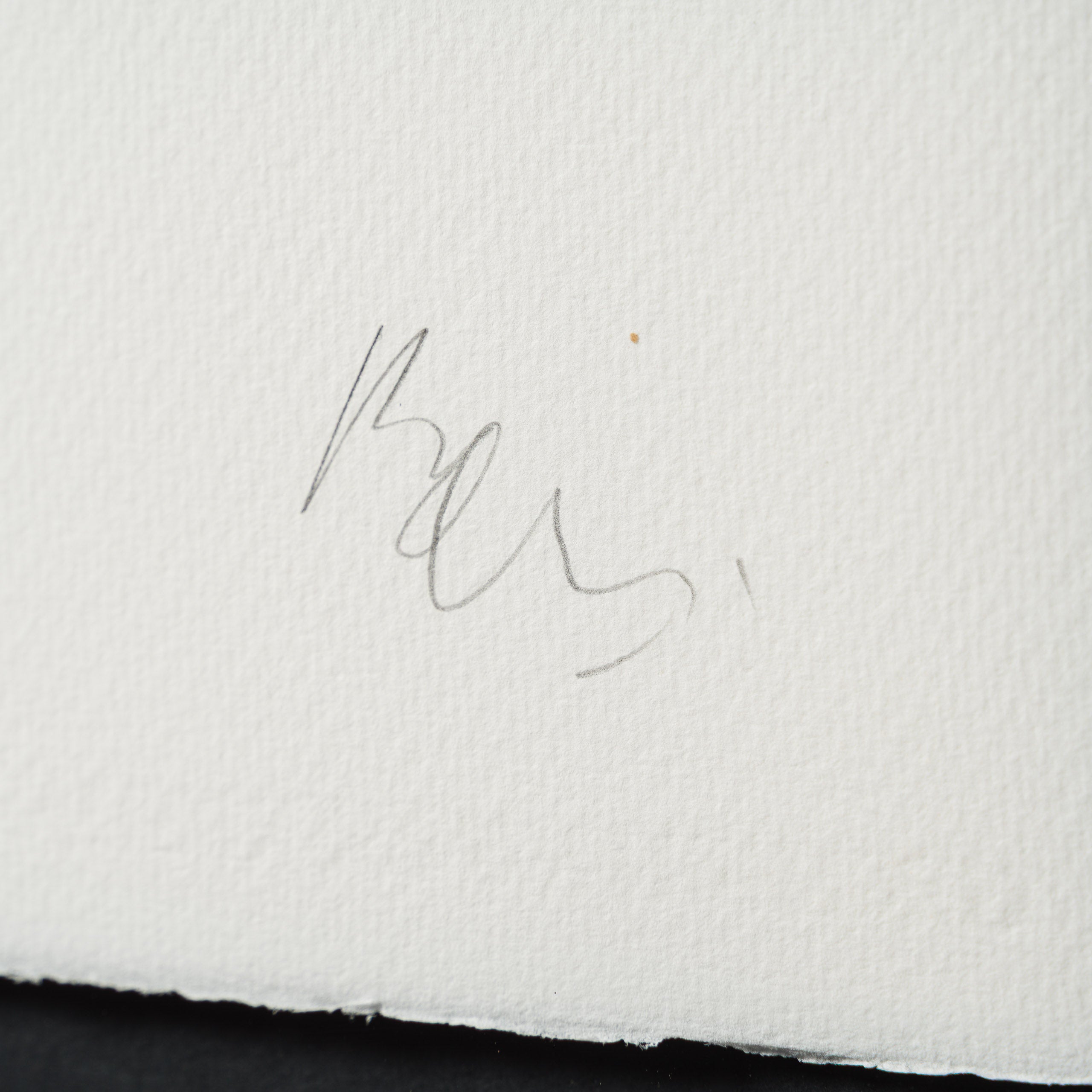 A Load of Old Bollocks of Many Colours |  Standard